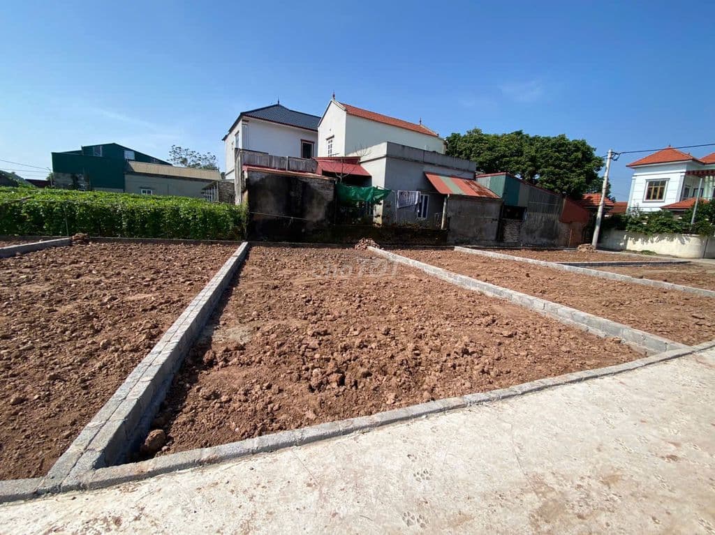 CHÍNH CHỦ 2 LÔ TỰ NHIÊN THƯỜNG TÍN - HÀ NỘI - Ảnh 2