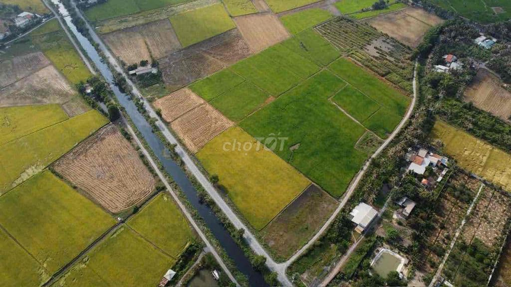 2000m2 đất nông nghiệp - tân nhựt - Ảnh 2