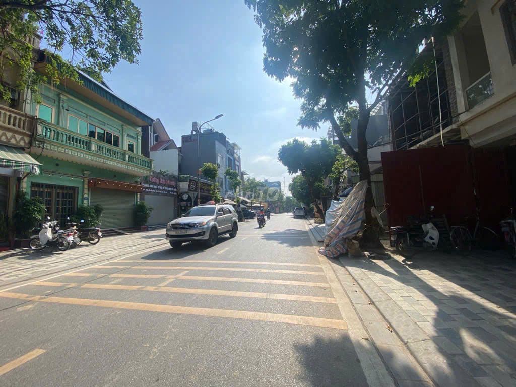 Đào Duy Tùng, Đông Anh