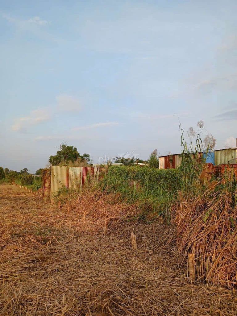 Bán lô đất đẹp DT: 4m X 11m = 44m2 đường 4m thông - Ảnh 3