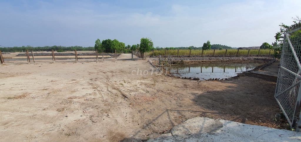 BÁN 1.154M2 ĐẤT VỚI 70M MẶT TIỀN ĐƯỜNG BÀ XÁN, THANH KHOẢN TỐT - Ảnh 3