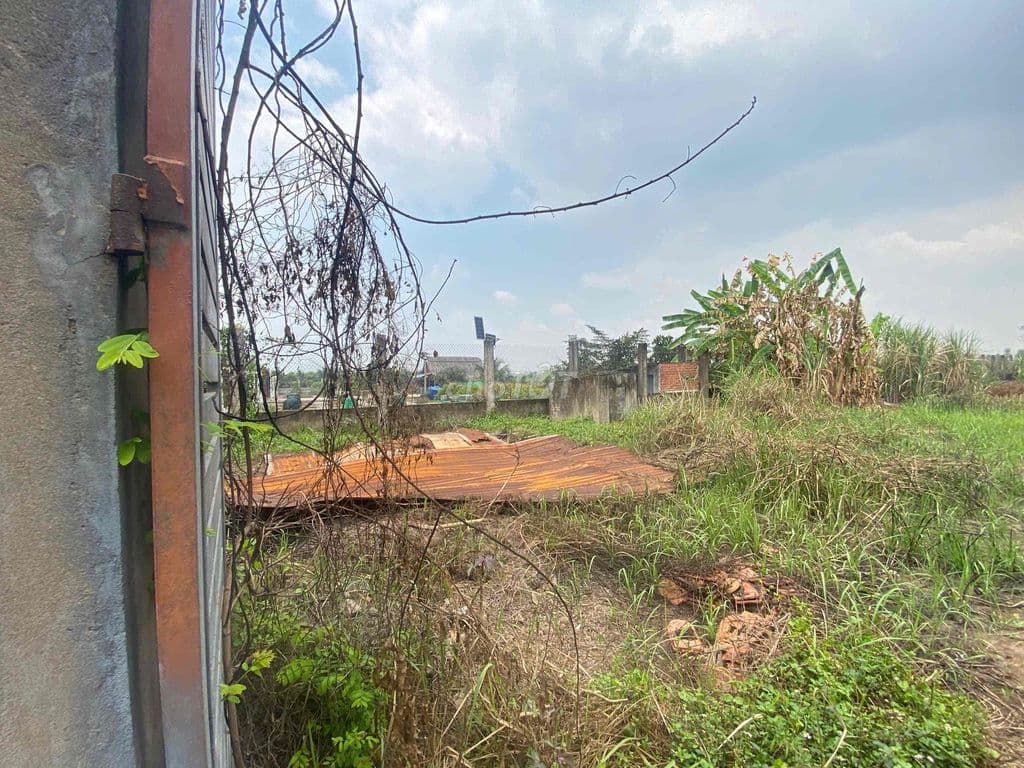 3000m có 300m thổ cư xã lê minh xuân Bình Chánh - Ảnh 3