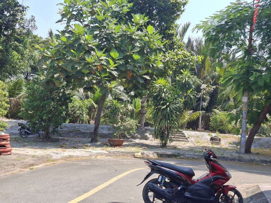 Bán 133m2 mặt tiền nội bộ đất sau lưng chợ đầu mối Nông sản TD