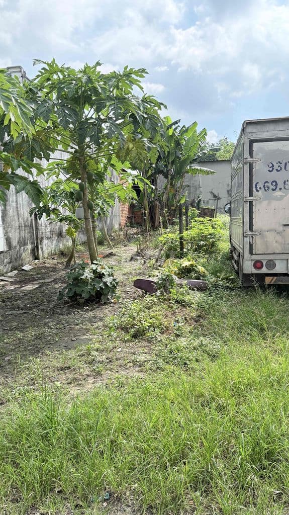 Bán đất củ chi