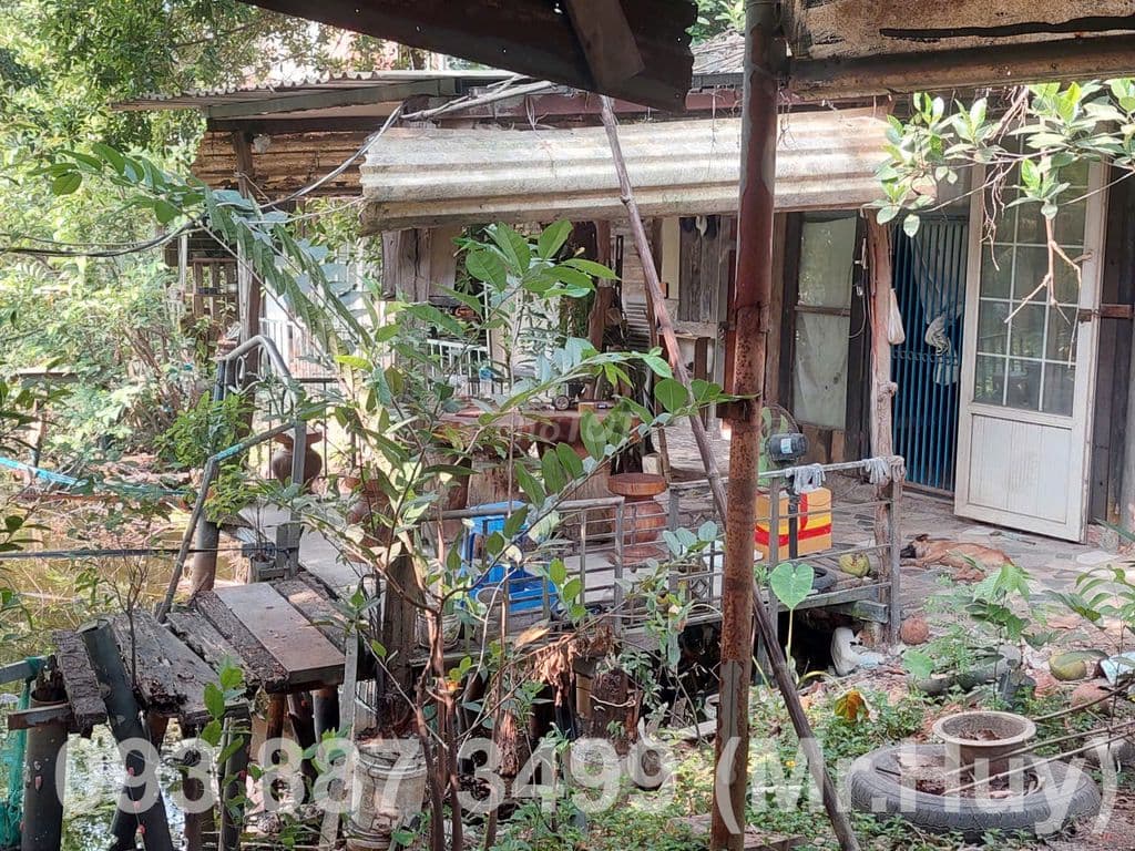 Bán gấp đất CLN 1120m2 - Ảnh 3