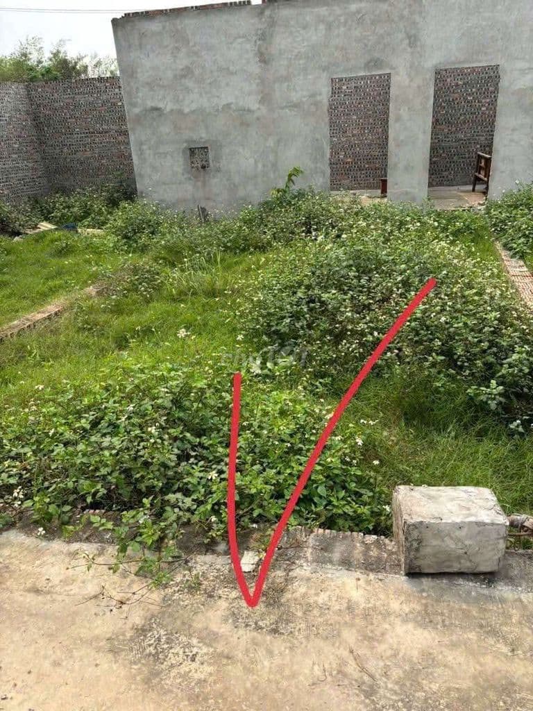 CHÍNH CHỦ E CẦN BÁN MẢNH ĐẤT DT 40M ĐẤT XÓM NHÌ VÂN NỘI GIÁ 2TỶ 9 - Ảnh 3