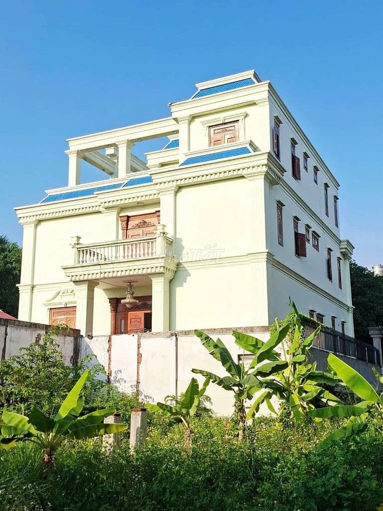 Biệt Thự Vườn 1000m2 Xây 2 Tầng Đường Thạnh Lộc 37 - Ảnh 3