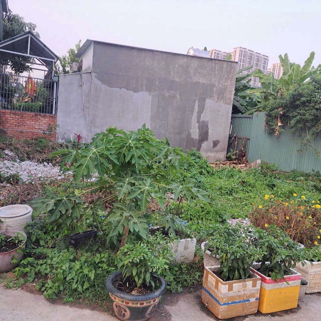 LÔ ĐẤT ĐẸP - P PHÚ THUẬN - QUẬN 7 - FULL THỔ CƯ - 50M2 - 3.99 TỶ.