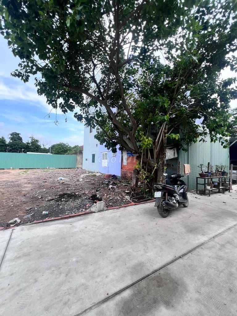 ĐẤT GIÁ RẺ. SHR. DT: 4 x 17.5m2. Giá: 3.95 tỷ - Ảnh 2