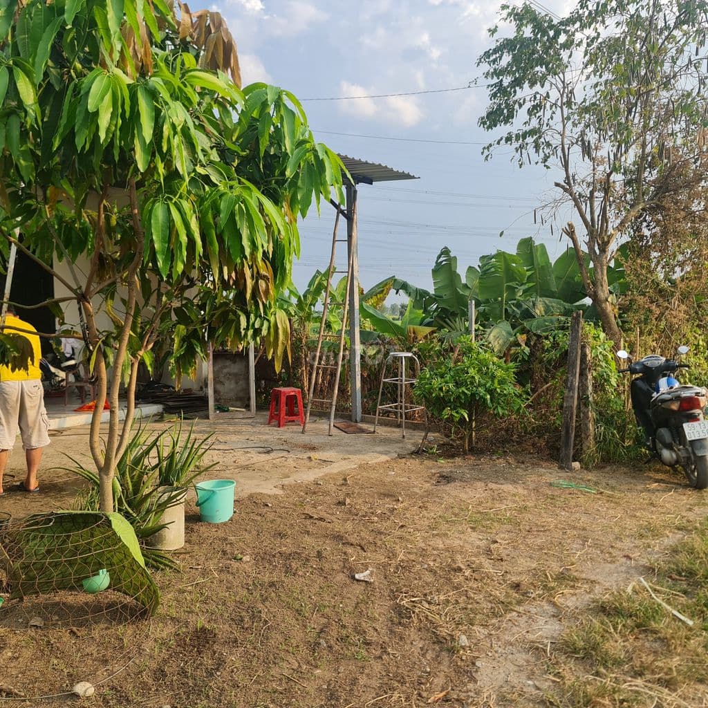Cần bán đất gấp - Ảnh 3