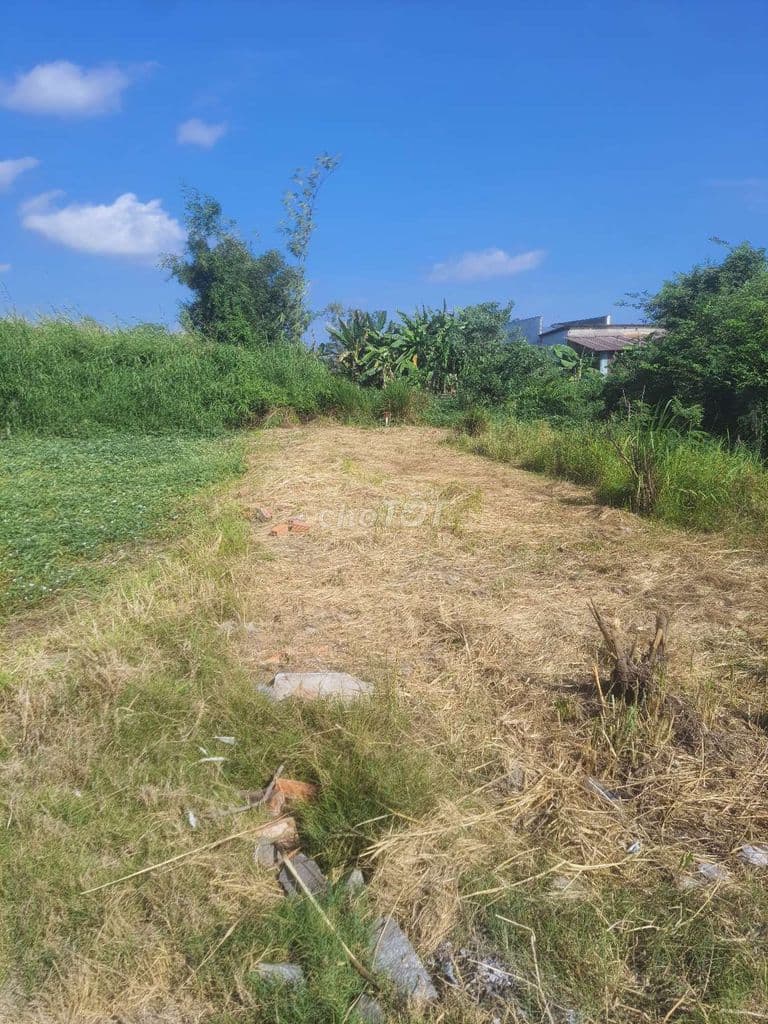 Đất thổ cư 5x30 Hưng Long Bình Chánh