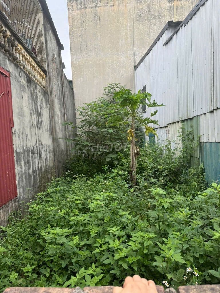 🚀 SIÊU PHẨM - NGỌC HỒI 55M2:ĐƯỜNG 37M - SÁT VIN OLYMPIC - Ảnh 2