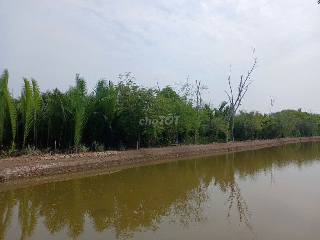 KẸT TIỀN BÁN ĐẤT XÃ BÌNH KHÁNH, HUYỆN CẦN GIỜ, TPHCM 5,8 TỶ - Ảnh 2