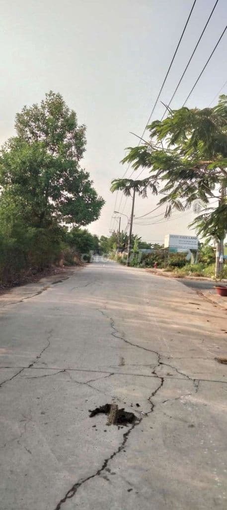 đất bán cực đẹp, mặt tiển nhánh, giá rẻ, Đường 8 ,p Long Phước, q9 củ - Ảnh 3