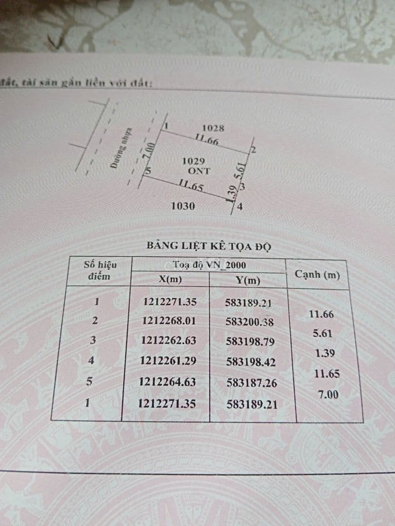 Đất Thổ cư Củ Chi ( chính chủ ) - Ảnh 2