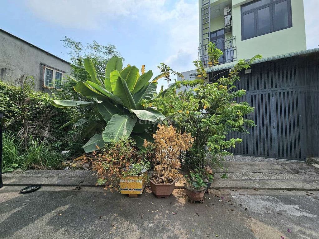 Đất khu phân lô 73m² full thổ cư, đường nhựa 8M, nhỉnh 4 tỷ - Ảnh 2
