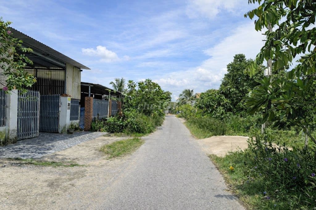 242m2 FULL THỔ – MẶT TIỀN NHỰA Ô TÔ – KẾ BIỆT THỰ – GIÁ TỐT CỦ CHI - Ảnh 2