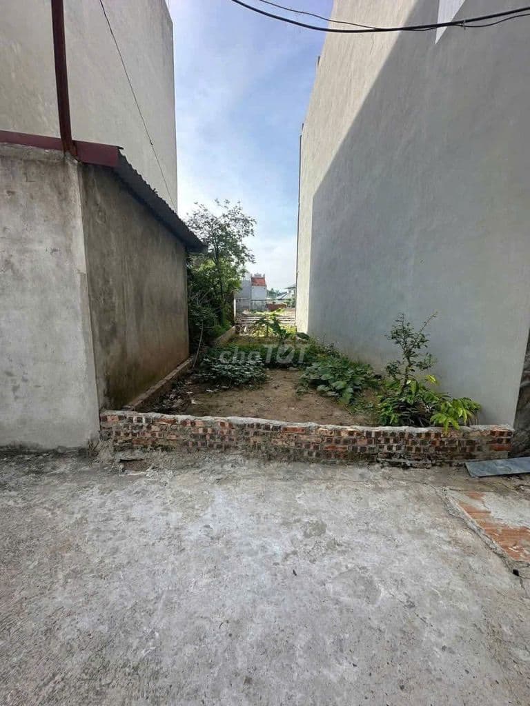 BÁN ĐẤT VẠN PHÚC - THANH TRÌ - 55M2 - SÁT CHỢ - GIÁ 4.5 TỶ - Ảnh 3