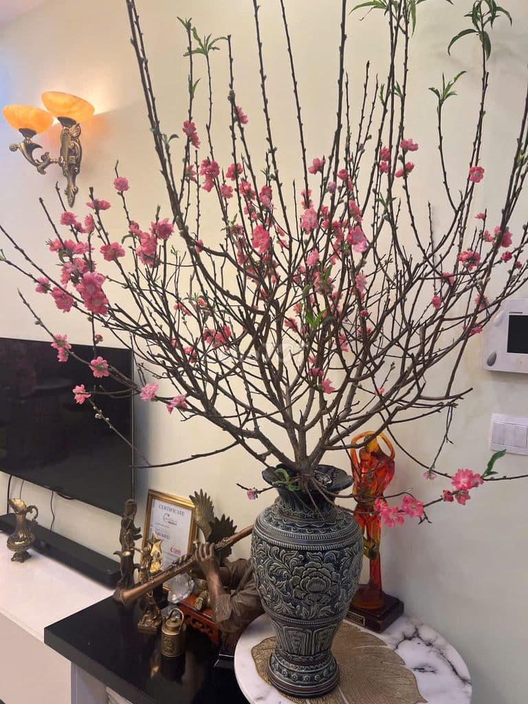 prince 3pn full, góc 2 view cần bán