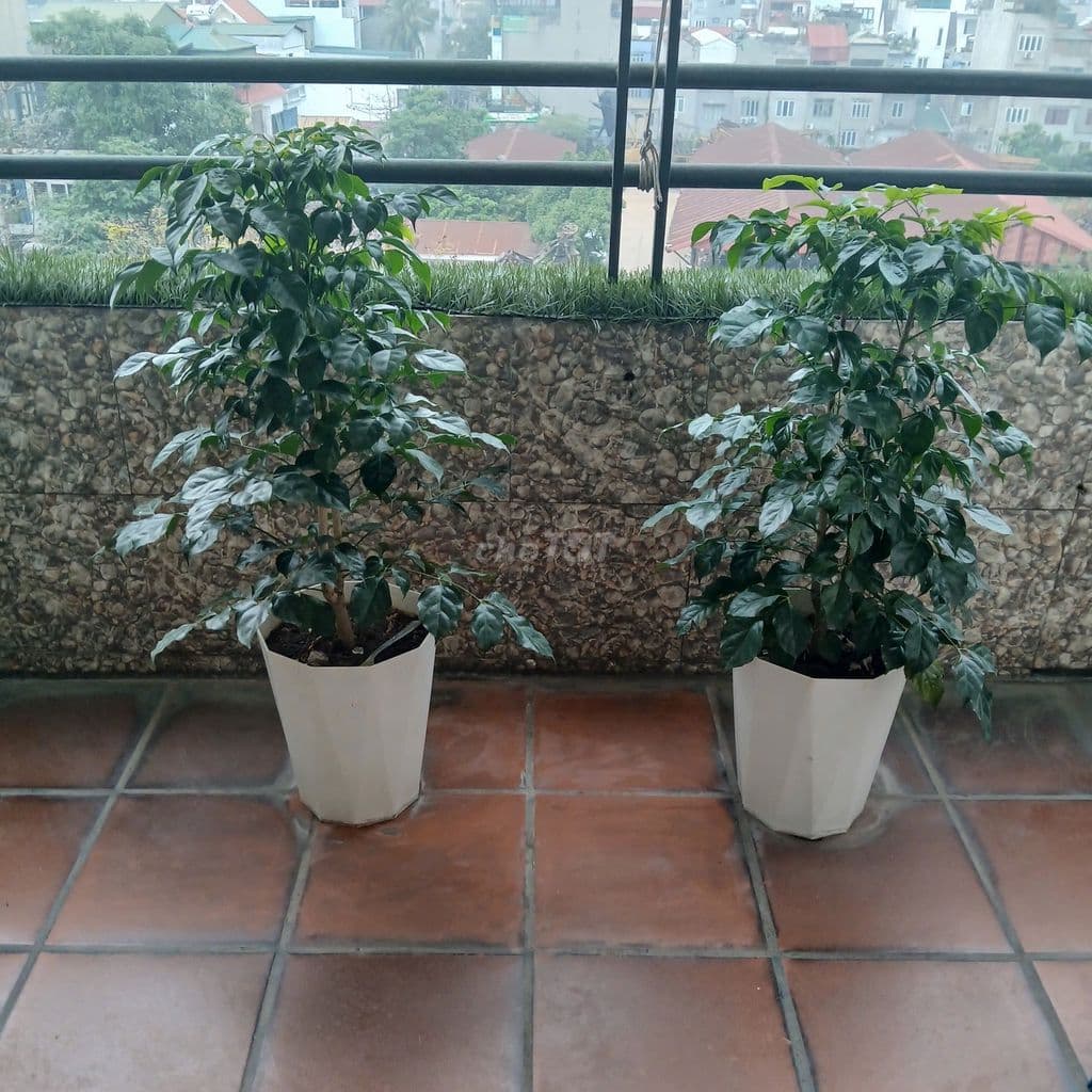 Chung cư tại Nhà H2, ĐTM Việt Hưng, Hà Nội, diện tích 75.49m², 5.0 tỷ - Ảnh 2