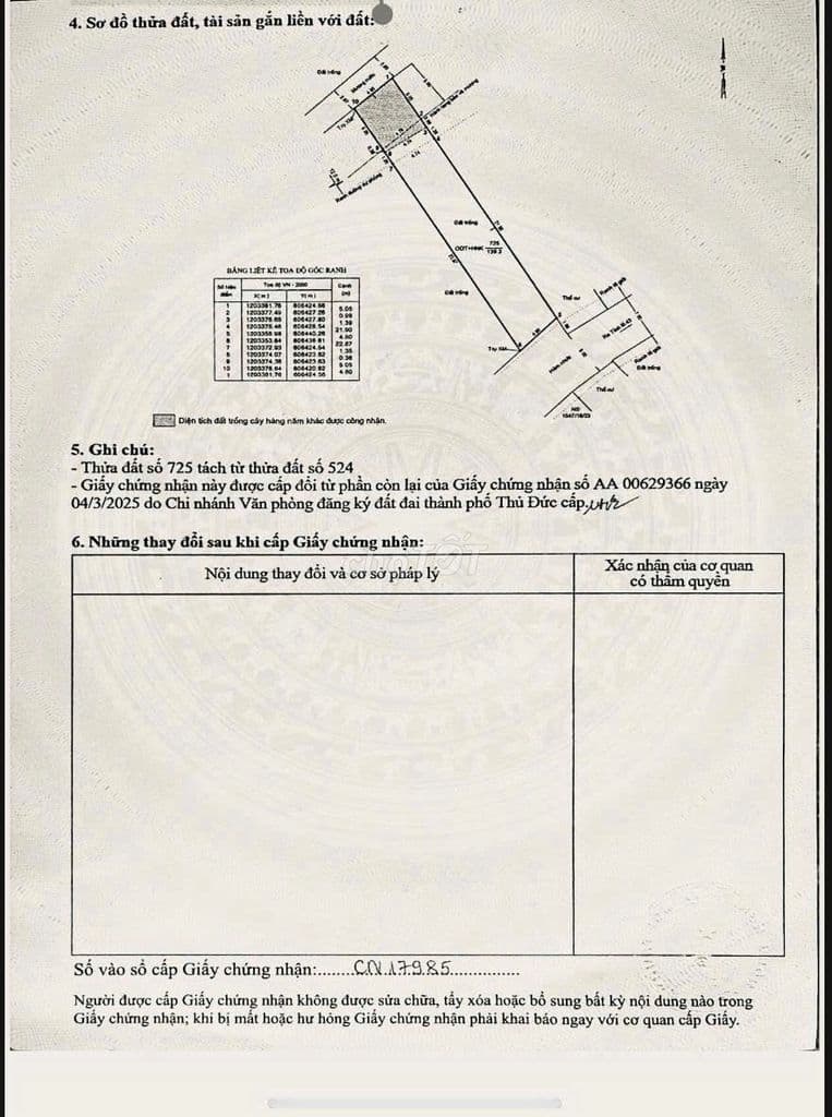 139m2 THỔ CƯ HẺM XE TẢI TP THỦ ĐỨC - Ảnh 3