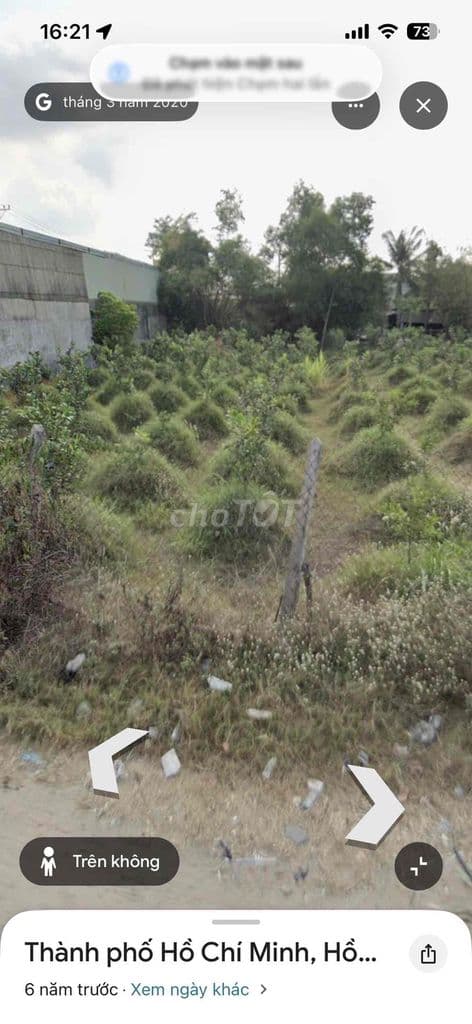 Cần Bán Lô Đất Lúa QH Khu Dân Cư Hiện Hữu Mặt Tiền Nhựa Xã Bà Điểm Mới - Ảnh 2