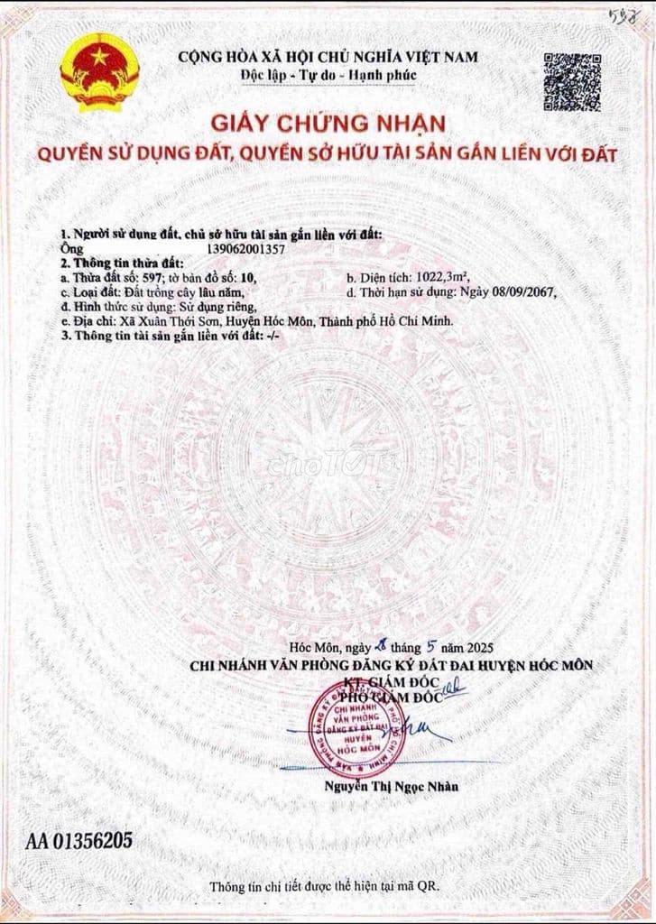 đất 23,5m . 1022m xuân thới sơn . đường 7m 1/ ngắn - Ảnh 3