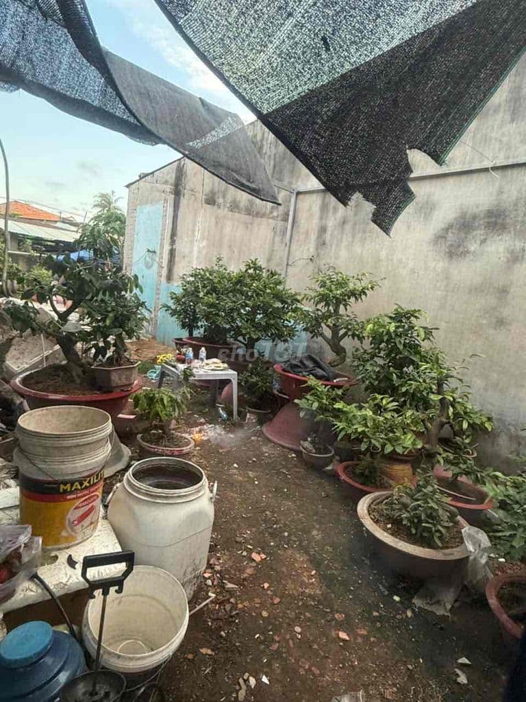 đất hẽm 17 đường số 8 long bình - Ảnh 3