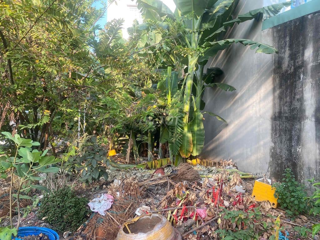 cần tiền bán nền đất kdc chợ bình điền chính chủ giá tốt - Ảnh 3