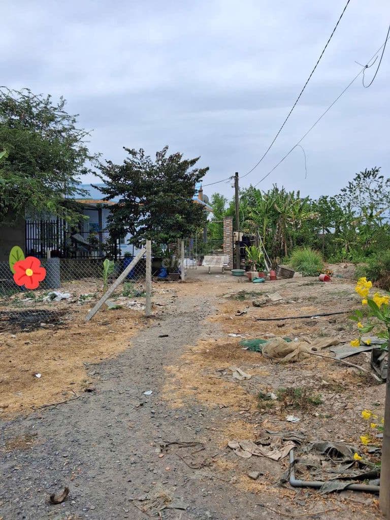 Bán Đất Bình Chánh 130m2 nở hậu còn thương lượng, đất chính chủ - Ảnh 2