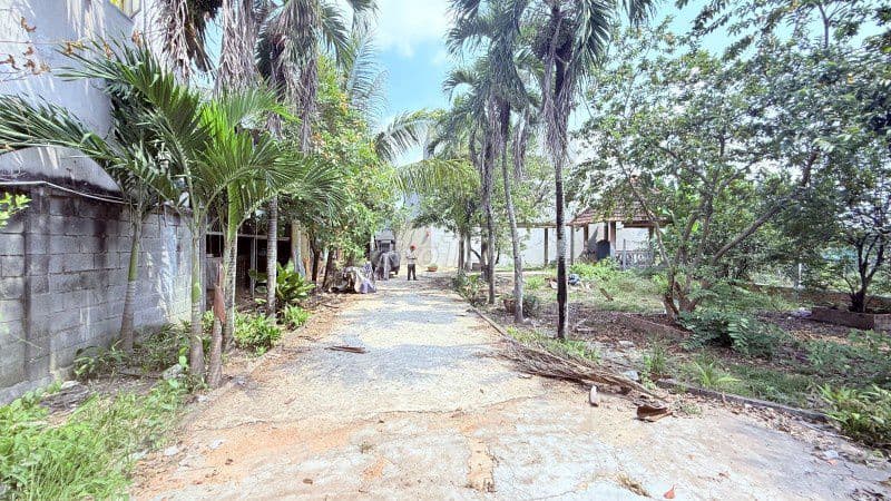 Lô đất đẹp mặt tiền Tân Hiệp 29 ,Hóc Môn,DT 218 m2 ,Giá chỉ 3.8 tỷ