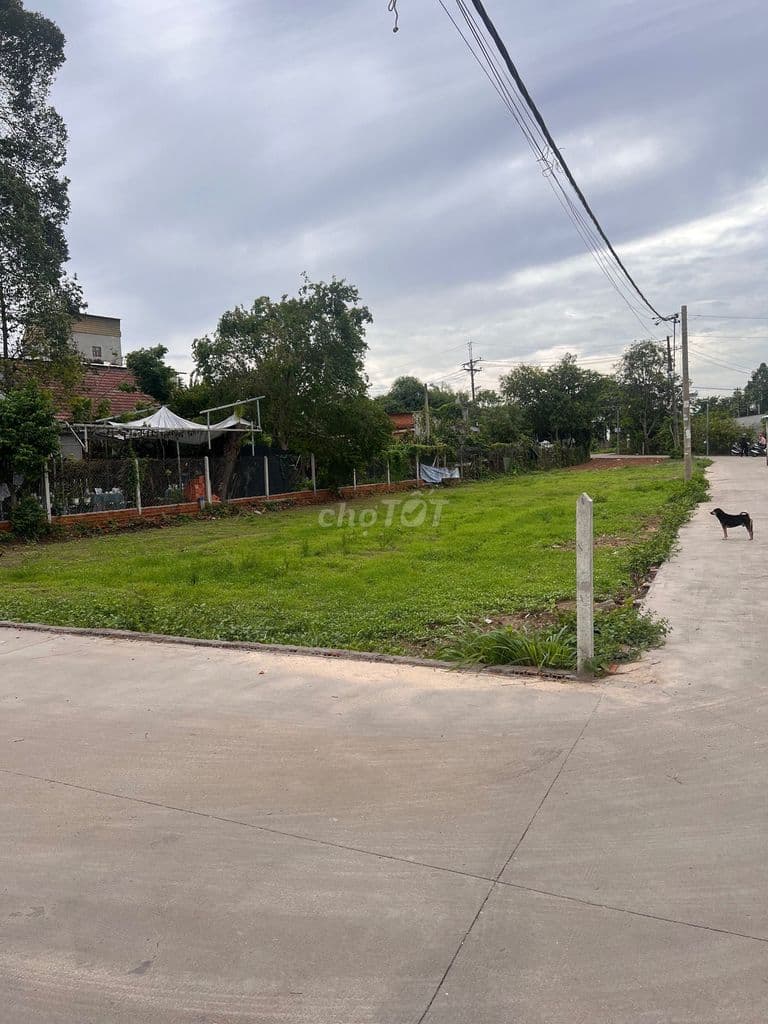 1 tỷ 3 một lô đất thổ cư ngay tại MTĐ Nguyễn Văn Khạ,Tân An Hội,Củ Chi