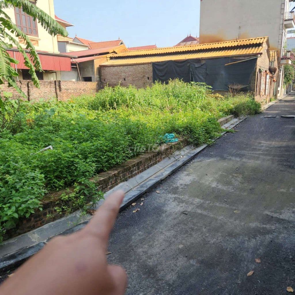 Gia đình cần xoay vốn làm ăn, nên nhượng lại mảnh đất tâm huyết. - Ảnh 2