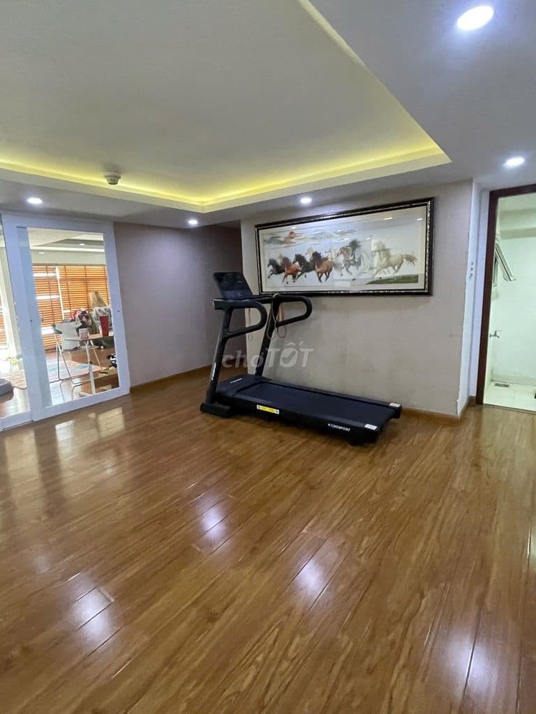 BÁN CĂN HỘ PHÚ HOÀNG ANH LOFT HOUSE 210M2 - Ảnh 3