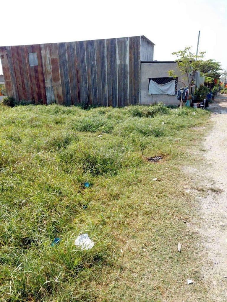 Đất bán 16x20 320m2 đuòng lê thị ngay ,vĩnh lộc,hcm,chỉ 800tr - Ảnh 2
