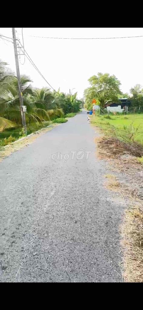 đất vườn nằm trong khu dân cư - Ảnh 2