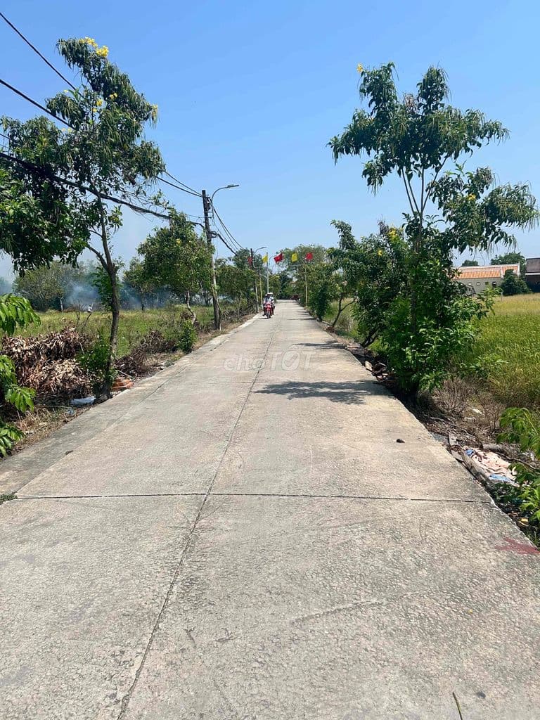 Bán Đất 2050 m2, Đình Bình Trường - Ngay vòng xoay mở rộng QL1A - Ảnh 3