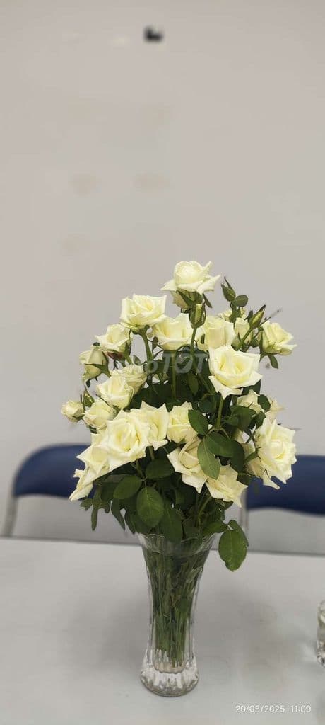 nhà 42 kim giang cần bán - Ảnh 3