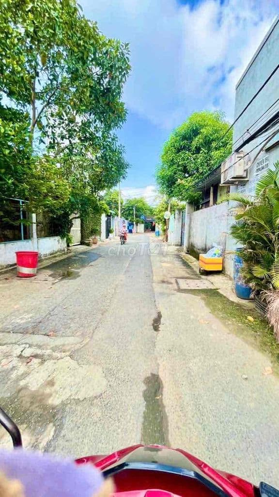 ĐẤT ĐƯỜNG THẠNH LỘC 44 , P. AN PHÚ ĐÔNG - Ảnh 2