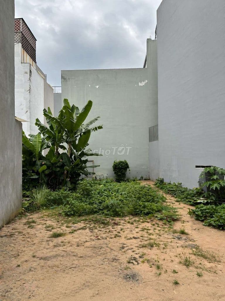 ĐẤT TÂY LÂN 4M x 18m- Full thổ-Hẻm 5m có lề,Xây dựng 5 tầng,Chỉ 4,1 tỷ - Ảnh 2