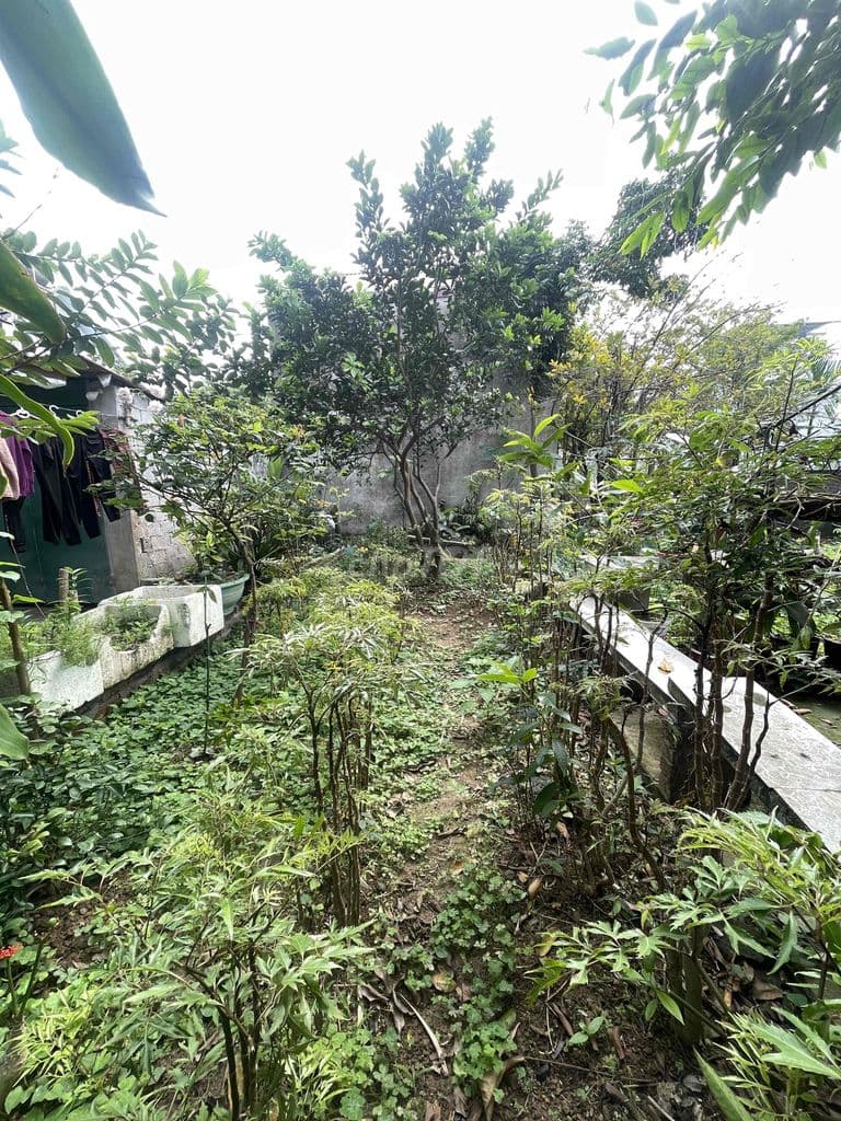 Lô đất 60 m2 thổ cư tại xã Xuân Mai