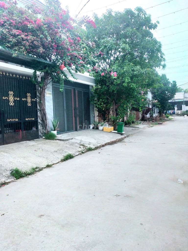 SAU CHỢ ĐẦU MỐI THỦ ĐỨC RA GẤP LÔ ĐẤT DT 120M2 SỔ SẴN - SANG TÊN NGAY - Ảnh 2