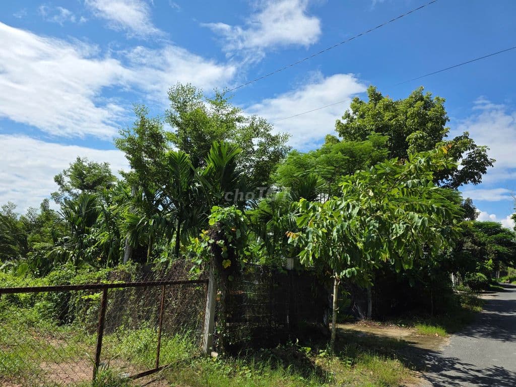 Bán nhà vườn, đất rộng, view kênh, có thổ cư - Ảnh 2