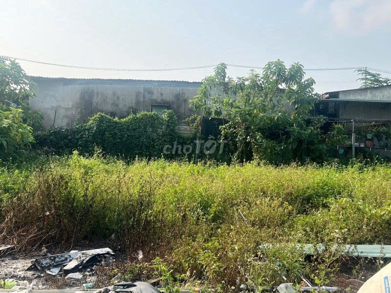 Lô đất vườn, 20x21, Gần chợ Đầu Mối, Ngô Chí Quốc, Bình Chiểu, Thủ Đức - Ảnh 2