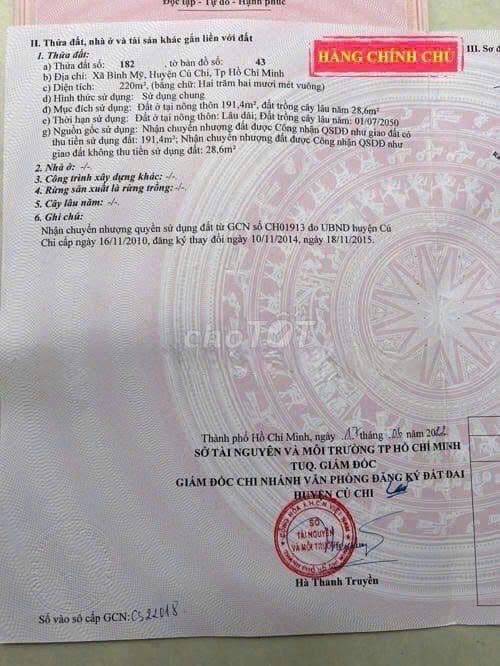 BĐS BÌNH MỸ - CỦ CHI - Ảnh 2