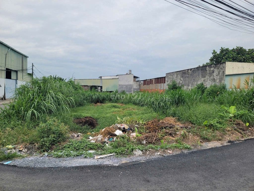 Bán đất lô góc 2 mặt tiền nhựa xã Tân Phú Trung Củ Chi diện tích 250m2