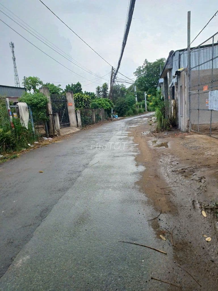 BÁN ĐẤT VƯỜN ĐƯỜNG BÙI VĂN SỰ QUI ĐỨC BÌNH CHÁNH - Ảnh 2