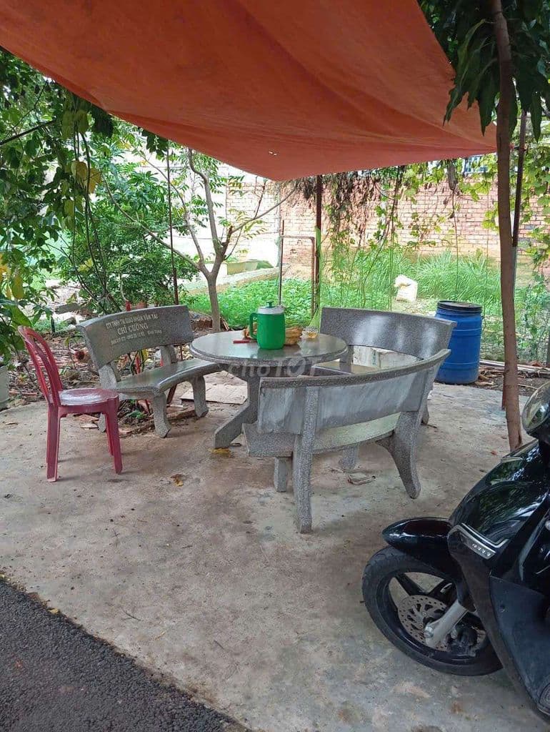 Đất thổ cư đồng sở hửu - Ảnh 2