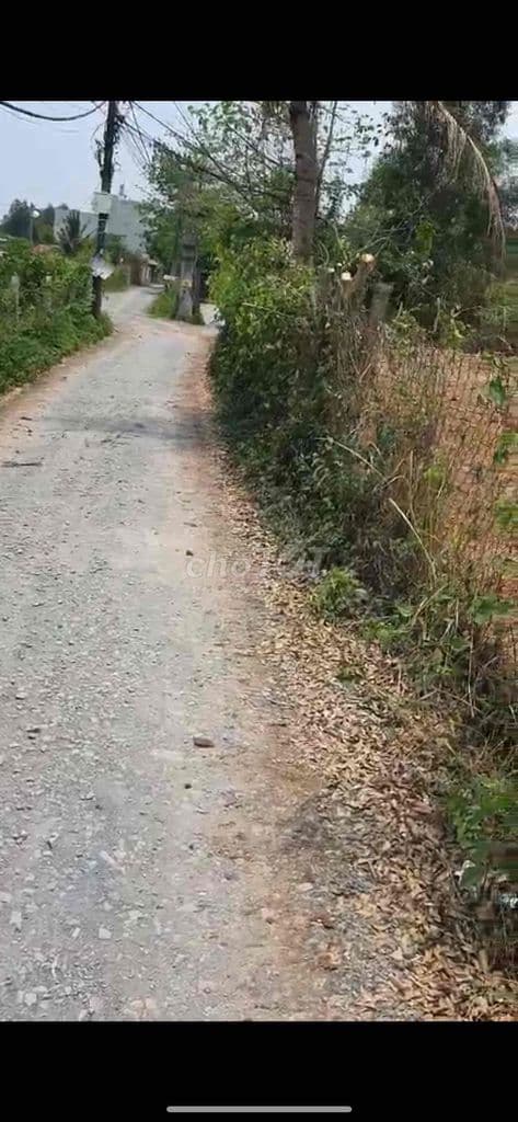 Bán đất xây biệt thự 1500m2 có 200 thổ giá 20,7 tỷ - Ảnh 3