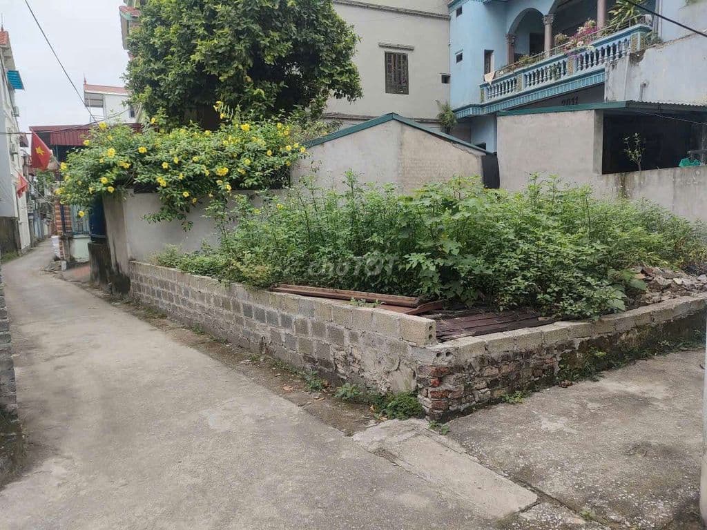 Lô đất xã Thượng Phúc đã kiểm tra quy hoạch - Ảnh 2